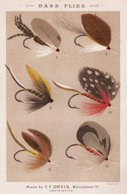 ANTIQUE PRINT OF FISHING FLIES FROM 1885